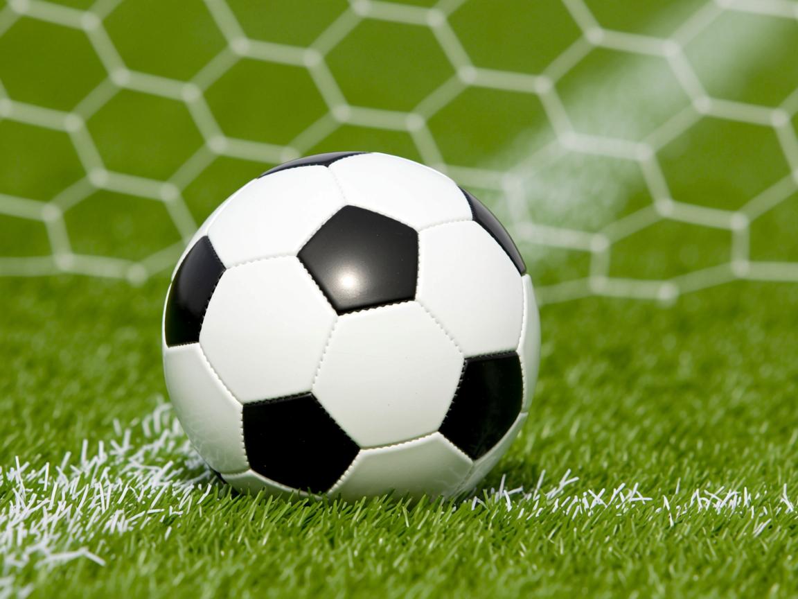 开云在线登入-Chinese Taipei团队未来规划：追求卓越的下一步，chinese of taipei  第2张